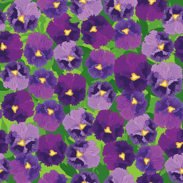 Fleurs fond heartsease — Image vectorielle