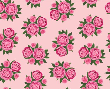pembe çiçekler peonies