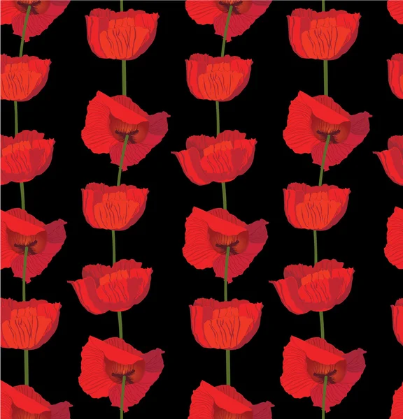 Poppies on dark background — Stock Vector