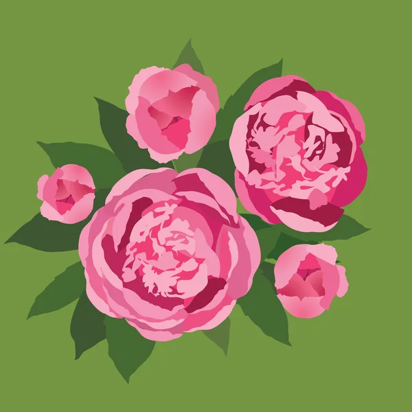 Boeket met roze bloemen pioenrozen — Stockvector