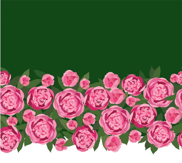 Fleurs roses pivoines — Image vectorielle