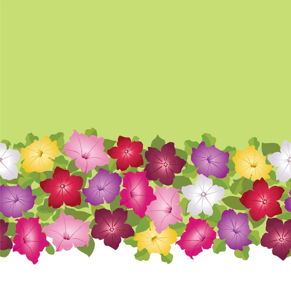 Çok renkli çiçek Petunya ile sorunsuz sınır desen — Stok Vektör
