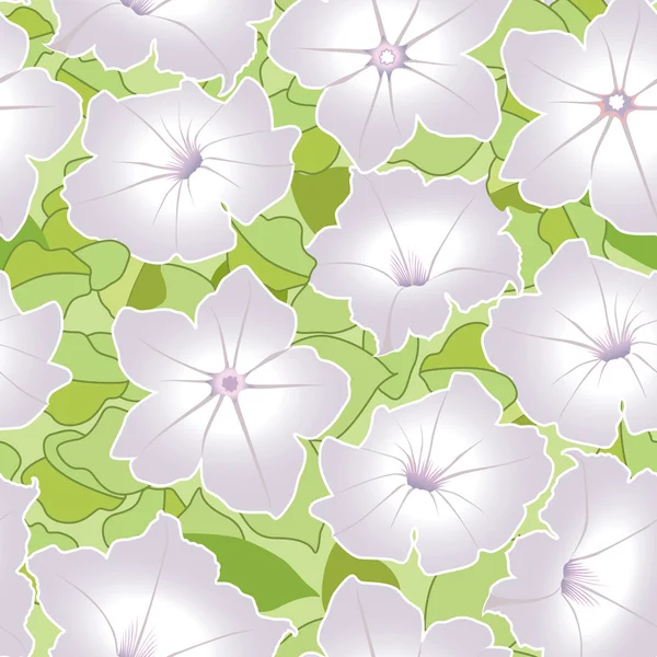 Floral seamless pattern with white flowers petunias — Stock Vector