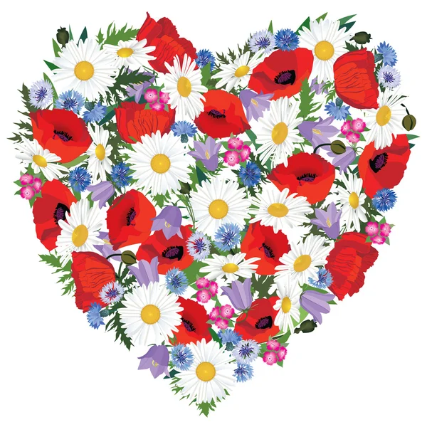 Kalp ve çayır çiçek haşhaş, chamomiles, Peygamber, bluebells kızlara özgü tarzı ile tebrik kartı — Stok Vektör