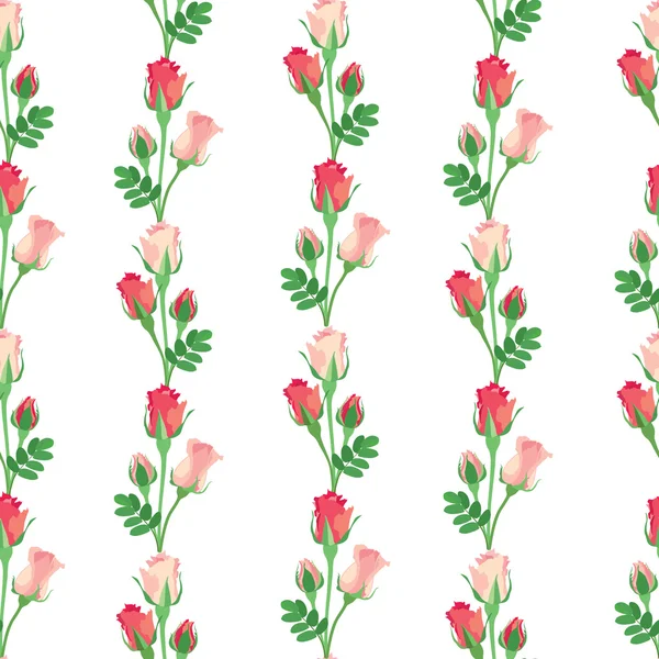 Blume nahtlosen Hintergrund mit rosa und roten Rosen auf weiß — Stockvektor