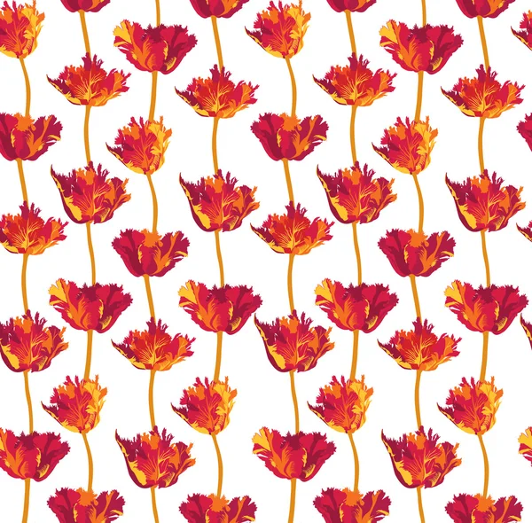 Nahtloses Muster mit roten Tulpen — Stockvektor