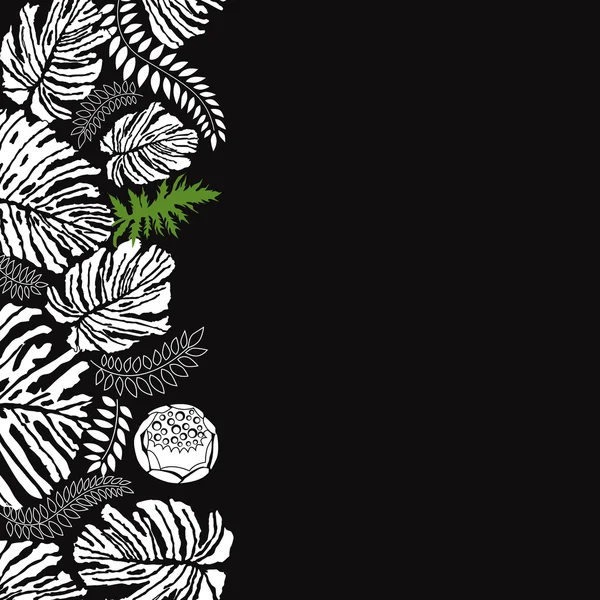 꽃 흑백 배경입니다. 나뭇잎과 꽃 에코 개념. — 스톡 사진