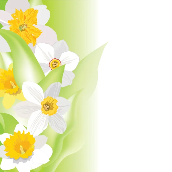 Flower background. Spring floral vector border — Stock Vector