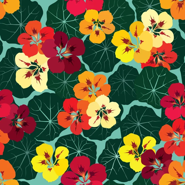 Seamless pattern background with multicolor bouquet of flowers nasturtium — Stock Illustration Seamless pattern background with multicolor bouquet of flowers nasturtium Royalty Free Stock Illustrations