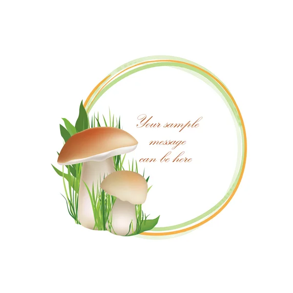 Mushrooms frame — Stock Vector