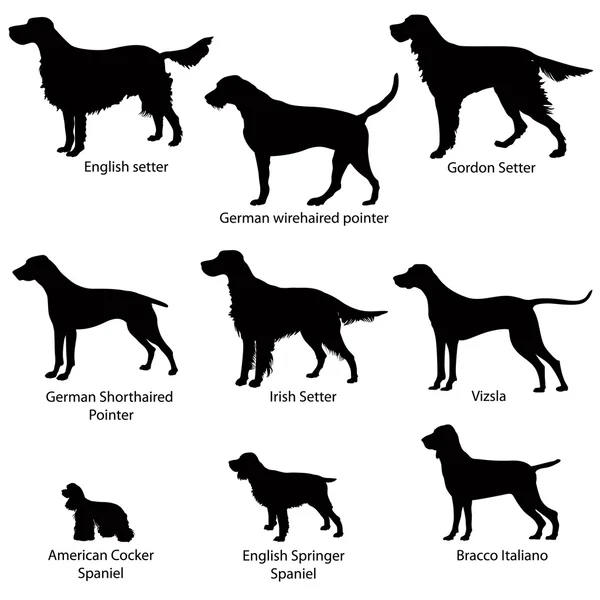 Gun Dog Stencil