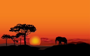 Afrika peyzaj