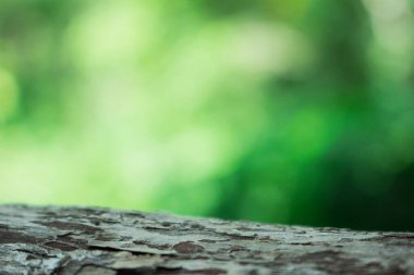 Doğa arka planı, yeşil durum soyut arkaplan  