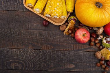 Balkabaklarının, fındıkların, mısırların, elmaların ve koyu ahşap arka plandaki yaprakların şenlikli sonbahar dekoru. Şükran Günü ya da Cadılar Bayramı. Kopyalamak için alanı olan düz sonbahar kompozisyonu.