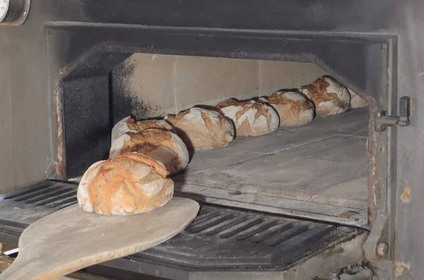 pişmiş ekmek taze fırın ekmek