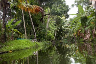 Alappuzha içinde kanal