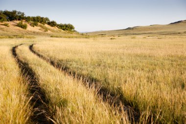 bir yol