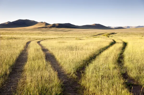 Dos caminos — Foto de Stock