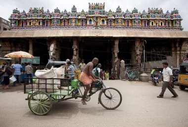 Hindistan - meenakshi