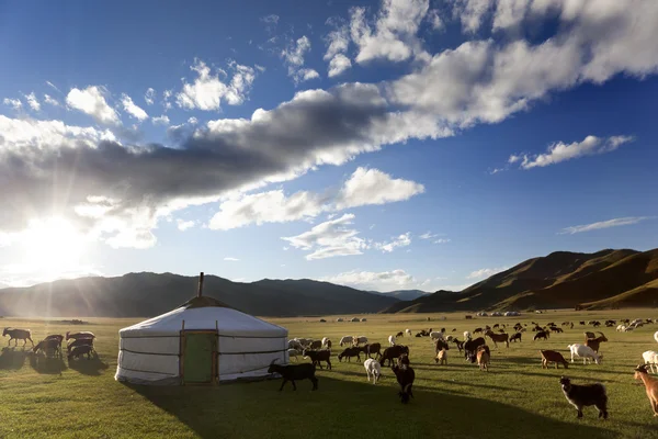 Orkhon Valley — Stock Photo, Image