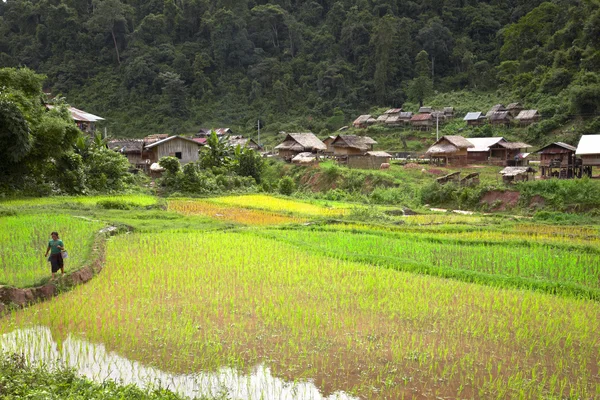 Ciudad de Khamu — Foto de Stock