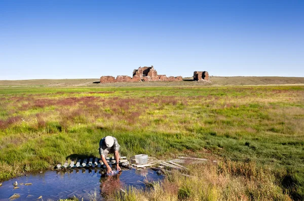 Gobi-woestijn — Stockfoto