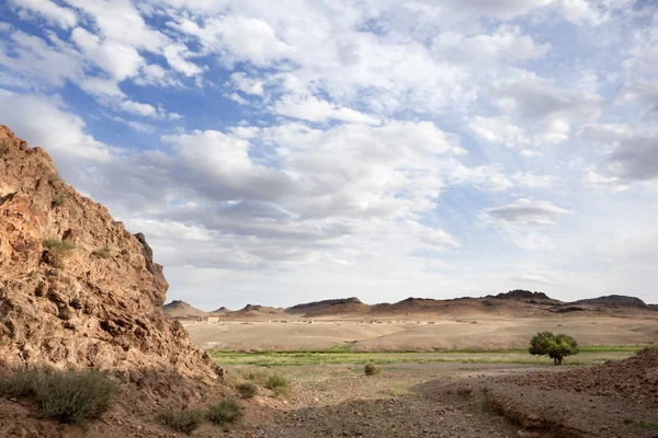 Solitude in the desert — Stock Photo, Image