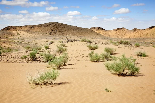 Soledad en el desierto — Foto de Stock