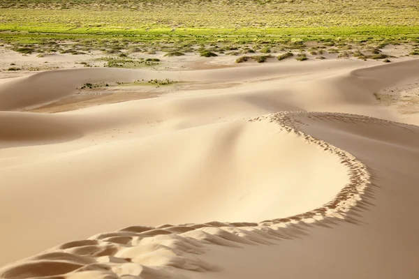 Hongor dunes — Stock Photo, Image