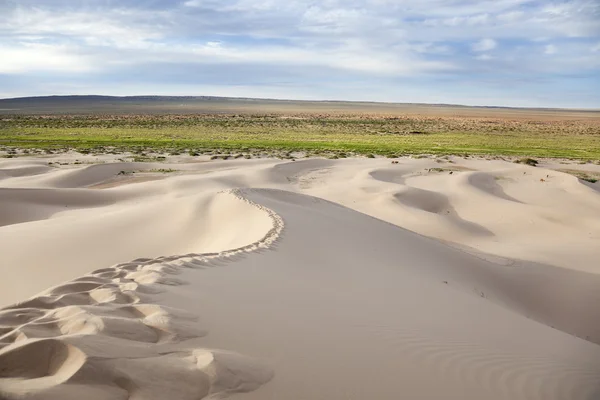 Hongor dunes — Stock Photo, Image