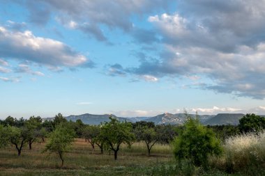 Matarranya 'daki tarlalar. İspanya 'nın Teruel iline bağlı bir bölge.