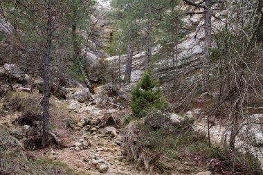 Los Ports dağlarındaki dağ yolları. Teruel bölgesi