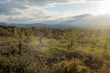 Matarranya 'daki tarlalar. İspanya 'nın Teruel iline bağlı bir bölge.