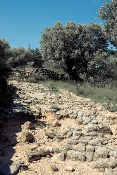 Postavte Koně Trasu Matarranya Provincie Teruel — Stock fotografie