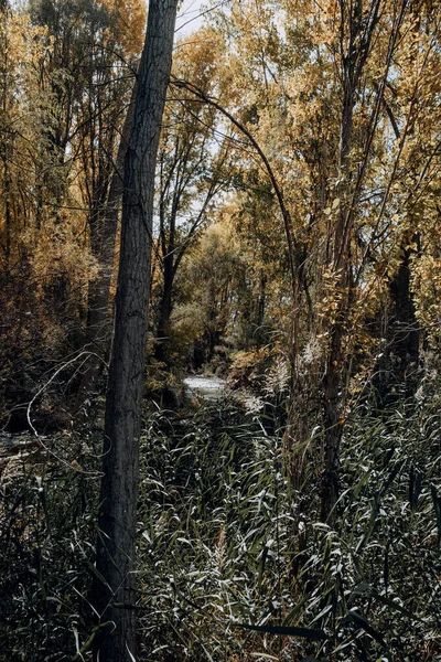 Rivier Maestrazgp Een Regio Van Provincie Teruel Spanje — Stockfoto