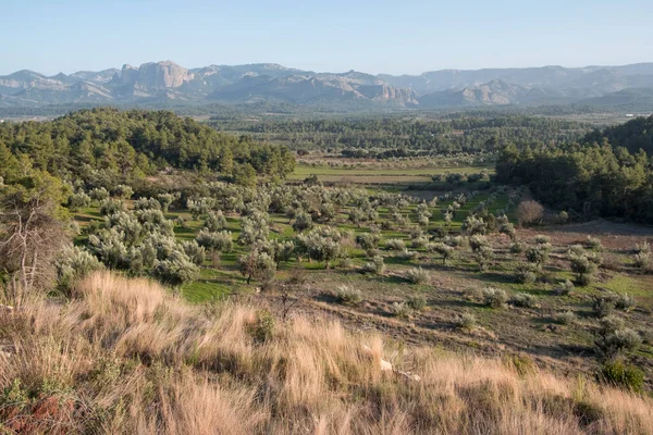 Campos Matarranya Región Provincia Teruel España —  Fotos de Stock
