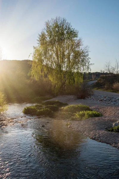 Utsikt Över Floden Matarranya Provinsen Teruel Spanien — Stockfoto