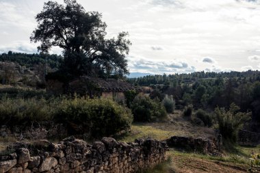Matarranya 'daki tarlalar. İspanya 'nın Teruel iline bağlı bir bölge.