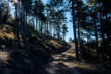 Los Ports dağlarındaki dağ yolları. Teruel bölgesi