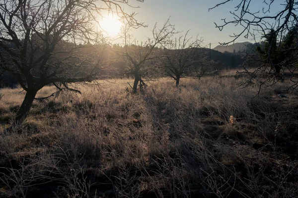 Matarranya 'daki tarlalar. İspanya 'nın Teruel iline bağlı bir bölge.