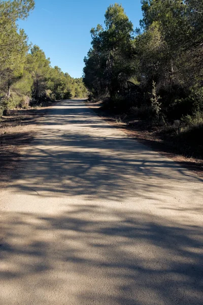 Matarranya 'daki tarlalar. İspanya 'nın Teruel iline bağlı bir bölge.