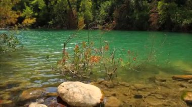 Güzel Rahatlatıcı Manzara - Seçili Odaklanma