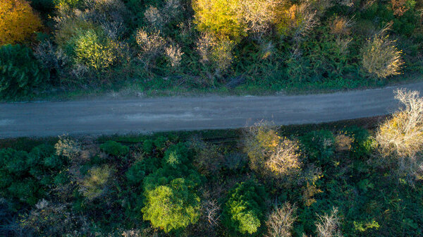 Drone view of a road in forest