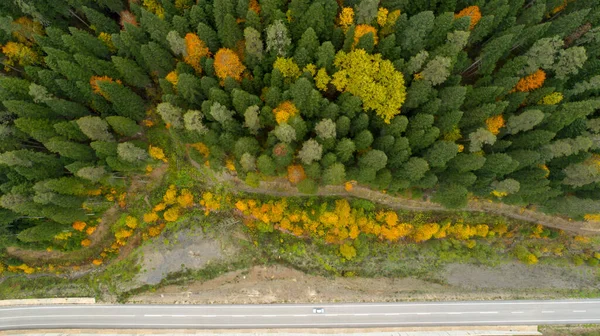 秋天日落时分 美丽的森林中山路的空中风景 从森林中蜿蜒公路无人机俯瞰的顶视图 — 图库照片