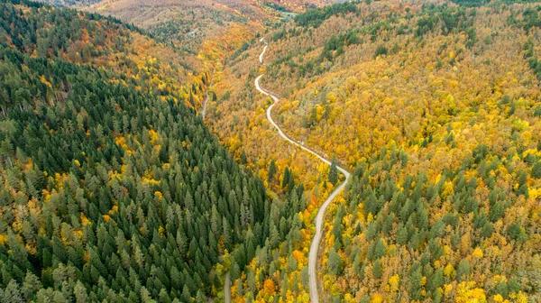 秋天日落时分 美丽的森林中山路的空中风景 从森林中蜿蜒公路无人机俯瞰的顶视图 — 图库照片