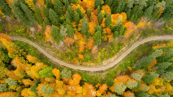 Vista Aérea Carretera Montaña Hermoso Bosque Atardecer Otoño Vista Superior — Foto de Stock