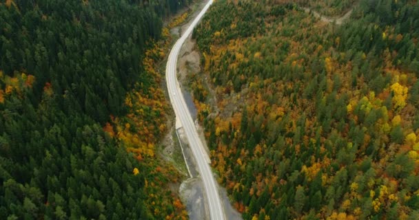 Letecký Záznam Horské Silnice Krásném Lese Při Západu Slunce Podzim — Stock video