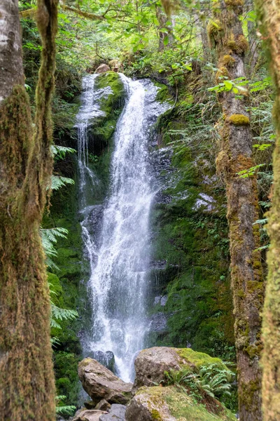 Cascata Delle Merriman Falls Nel Parco Nazionale Olimpico Stato Washington — Foto Stock