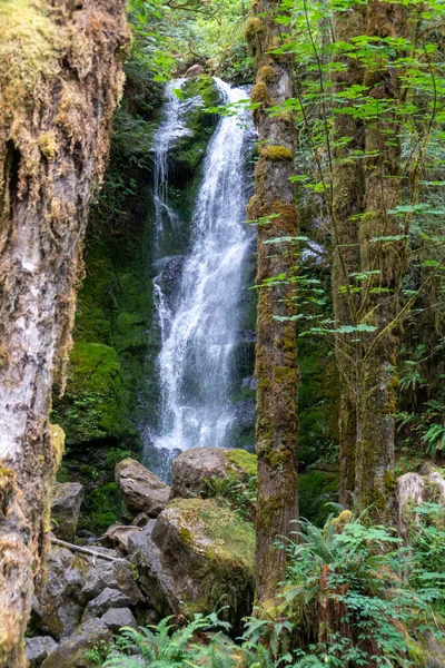 Chute Eau Merriman Falls Dans Parc National Olympique État Washington — Photo