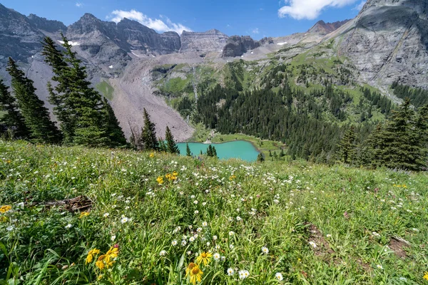 Bunga Liar Musim Panas Yang Berwarna Sepanjang Jalur Blue Lakes — Stok Foto